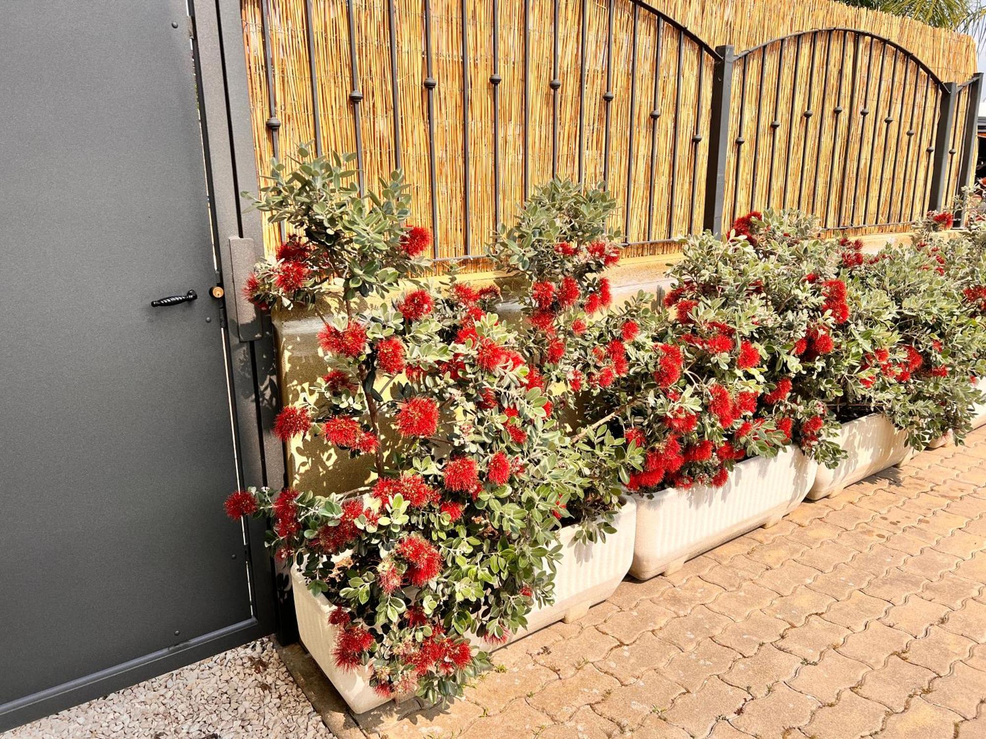 הוילה ג'יראסולה Casa Grecale מראה חיצוני תמונה